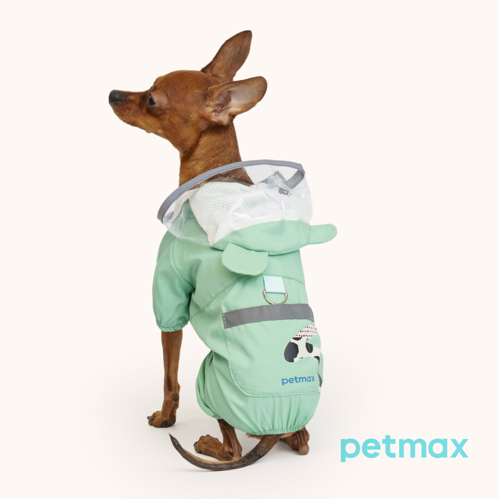 Petmax Дождевик-комбинезон с капюшоном для собак, M, зеленый