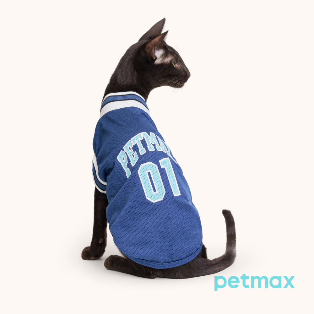 Petmax Футболка для кошек и собак, M, синий