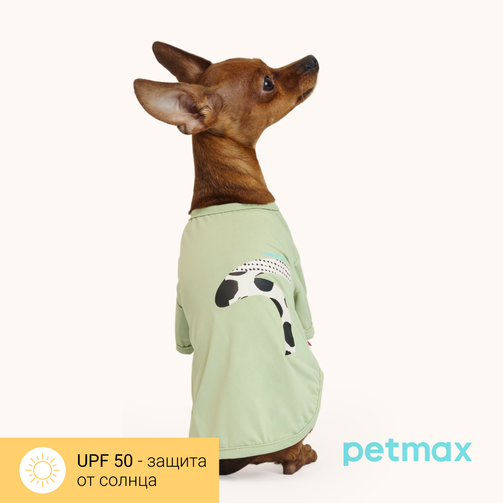 Petmax Футболка для кошек и собак Cool, M, зеленый