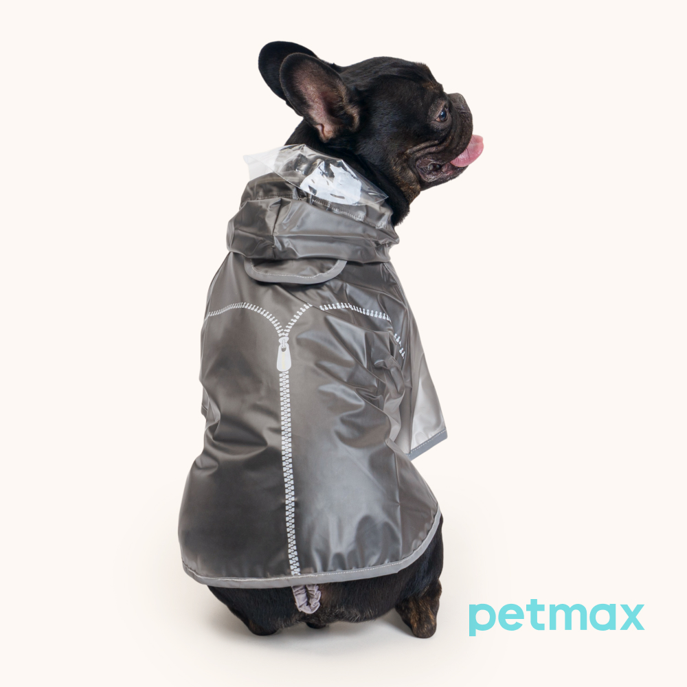 Petmax Дождевик с капюшоном для собак, French1, серый
