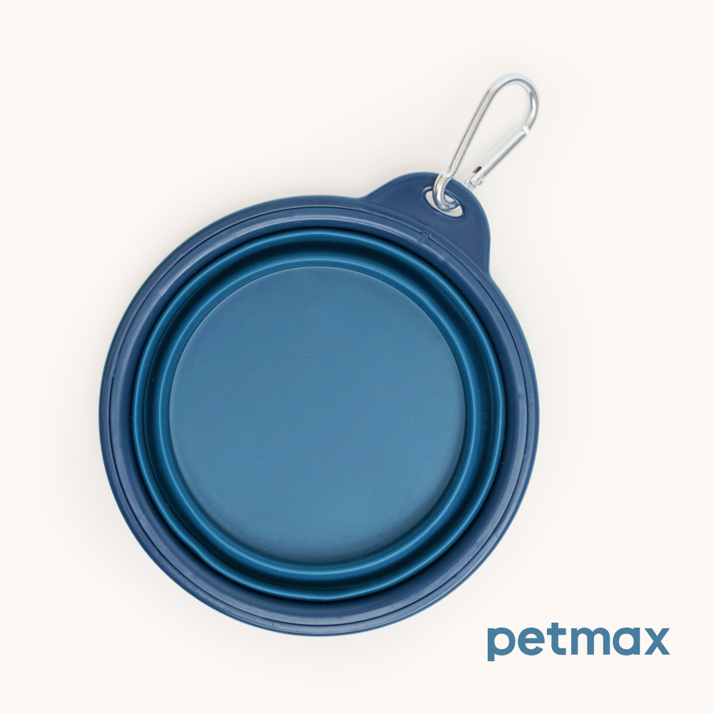 Petmax Миска складная для кошек и собак, S, 350 мл, синий