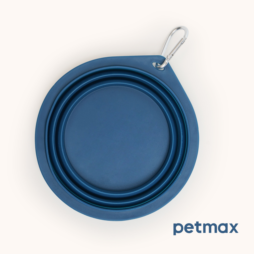 Petmax Миска складная для кошек и собак, M, 650 мл, синий
