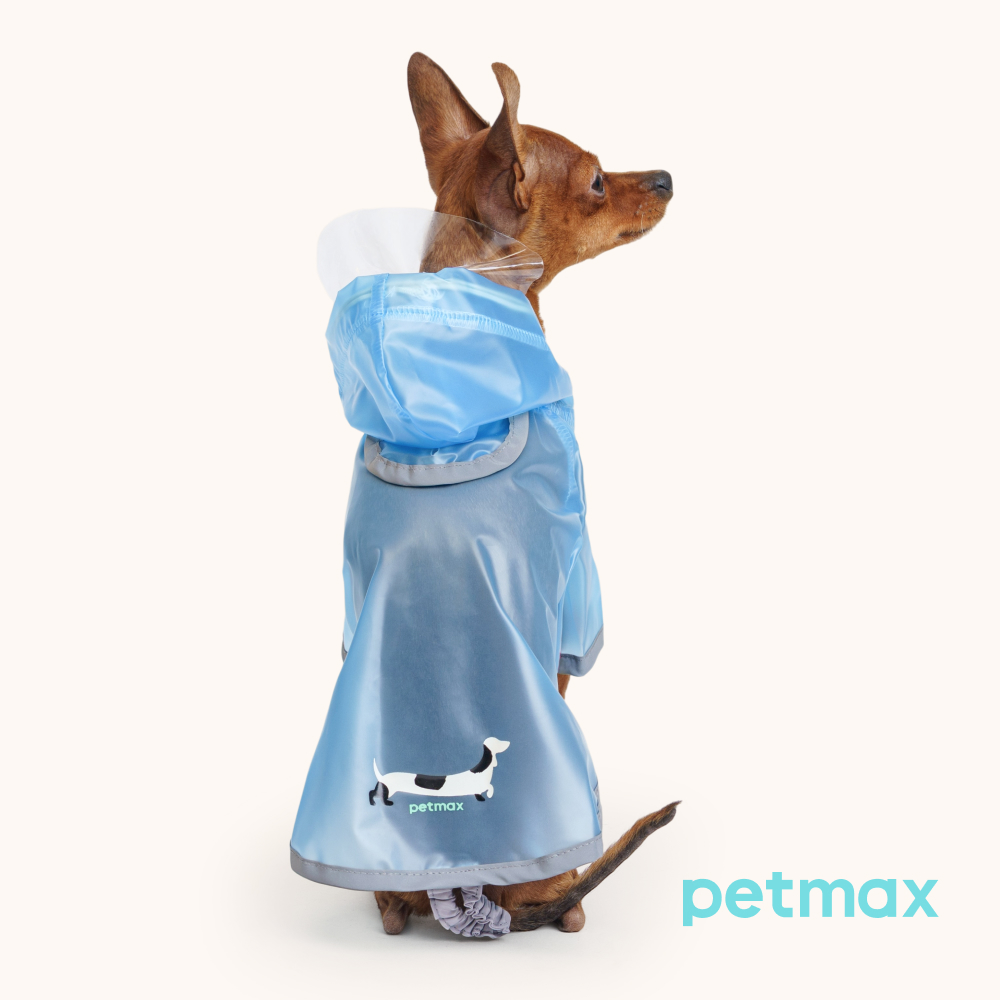 Petmax Дождевик с капюшоном для собак, M, голубой