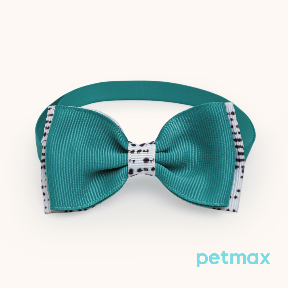 Petmax Галстук-бант голубой