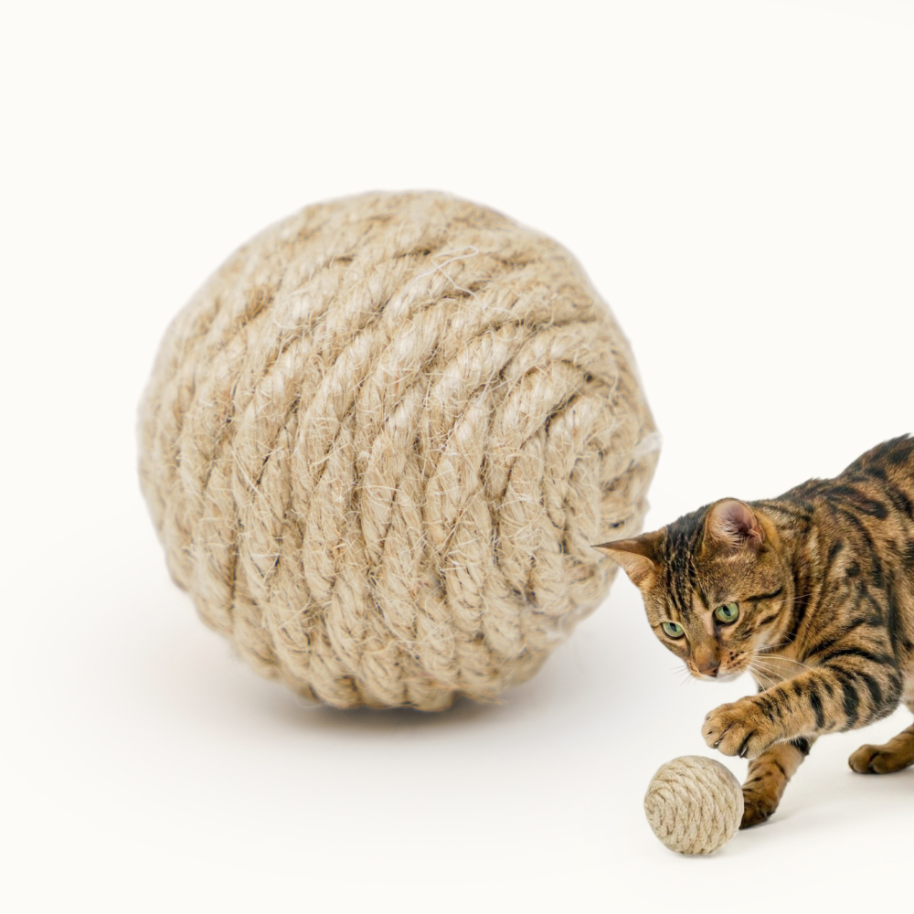 Pet hobby Игрушка-когтеточка динамическая для кошек Клубок миниатюрный, диаметр 6 см