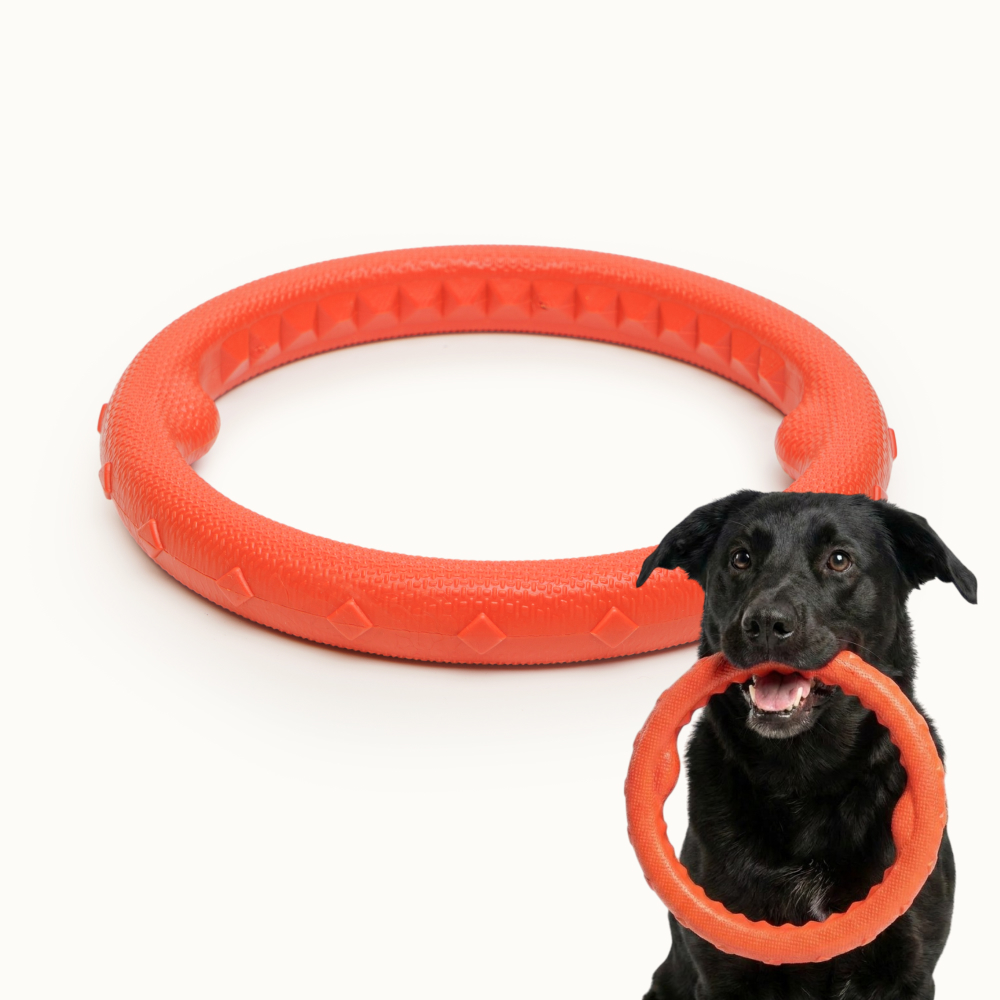 

Pet hobby Игрушка плавающая для собак средних и крупных пород Кольцо большое, ,, цвет в ассортименте, Разноцветный
