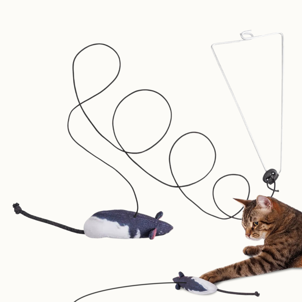 Pet hobby Игрушка с мятой для кошек Крыска, крепление 20 см, игрушка 12 см, резинка 145 см