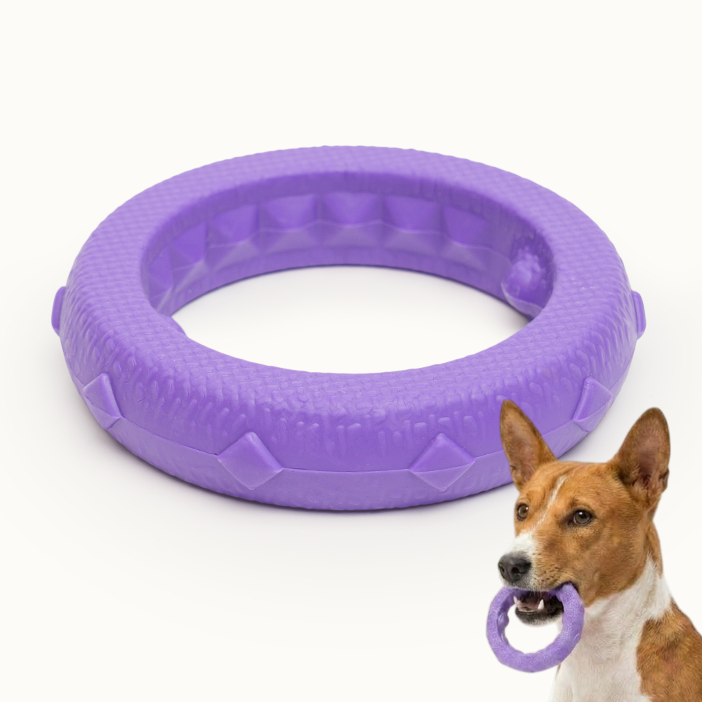 Pet hobby Игрушка для собак Кольцо плавающее малое, 11 см, цвет в ассортименте