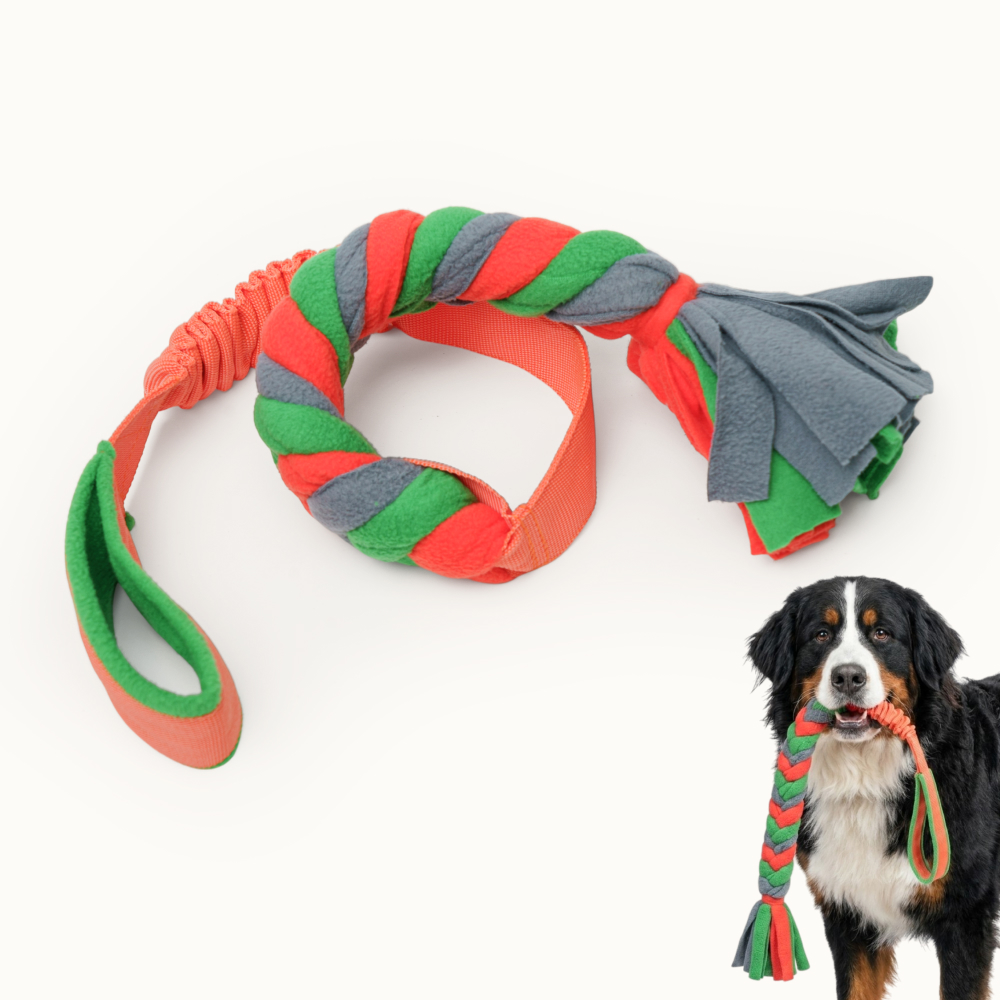 

Pet hobby Игрушка для собак Ухватка Косичка, Разноцветный