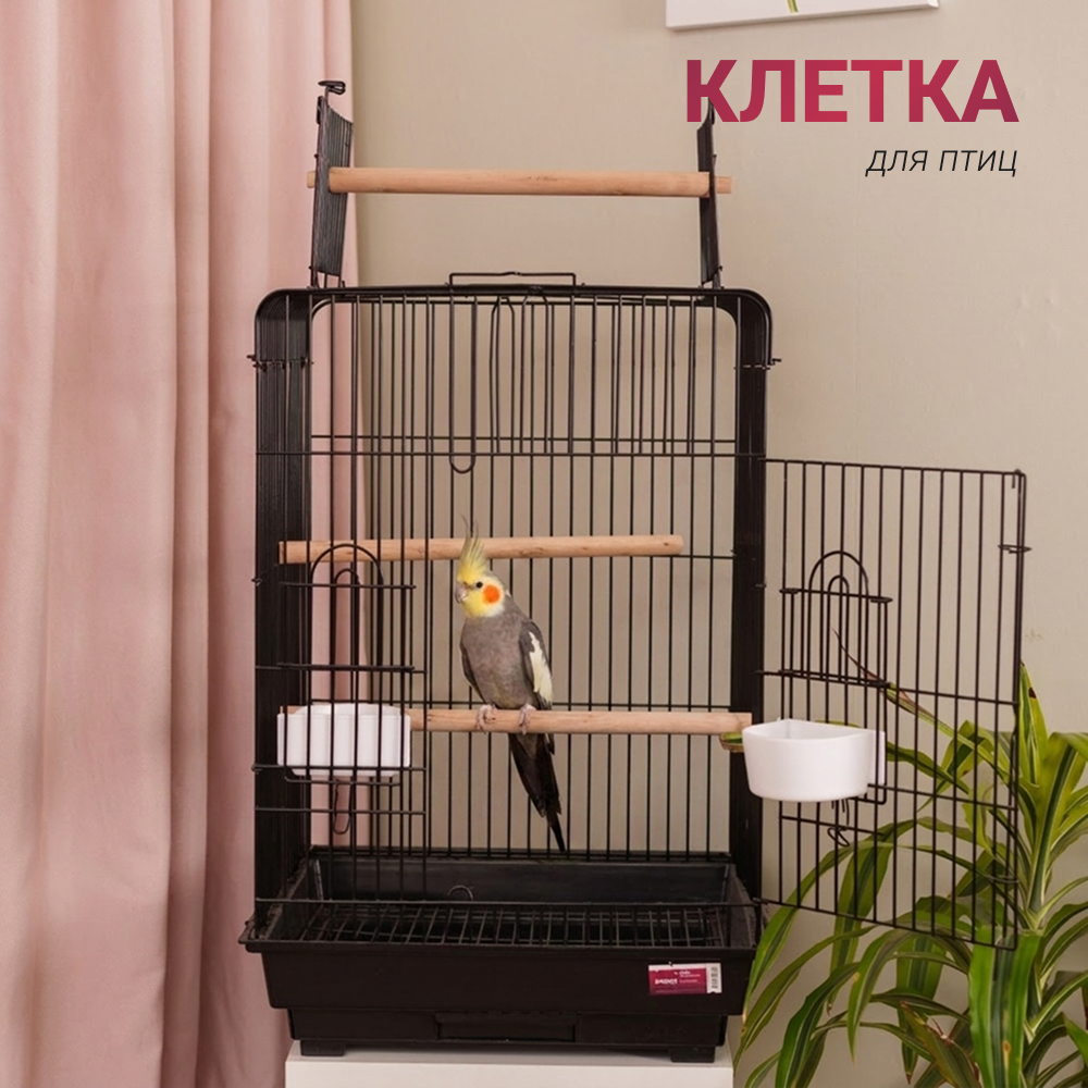 Petmax Клетка для птиц Elsa, 47х47x67 см, черный