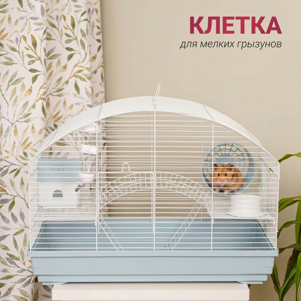 Petmax Клетка для мелких грызунов, 58x34x41 см, синий