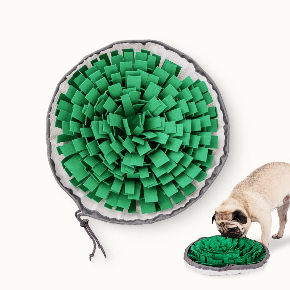 Pet hobby Игровой коврик для собак для поиска лакомств Цветок, 24х36 см