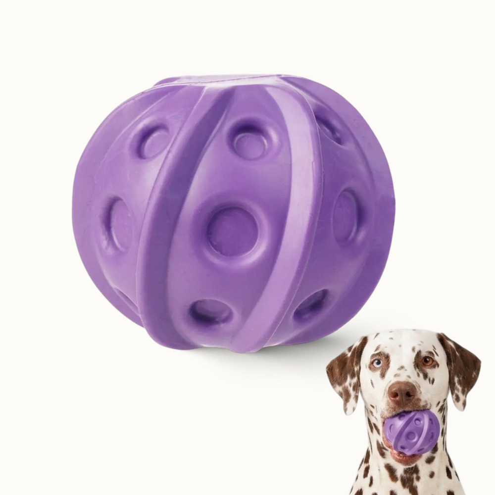 Pet hobby Игрушка для собак Мяч, 9,5 см, фиолетовый