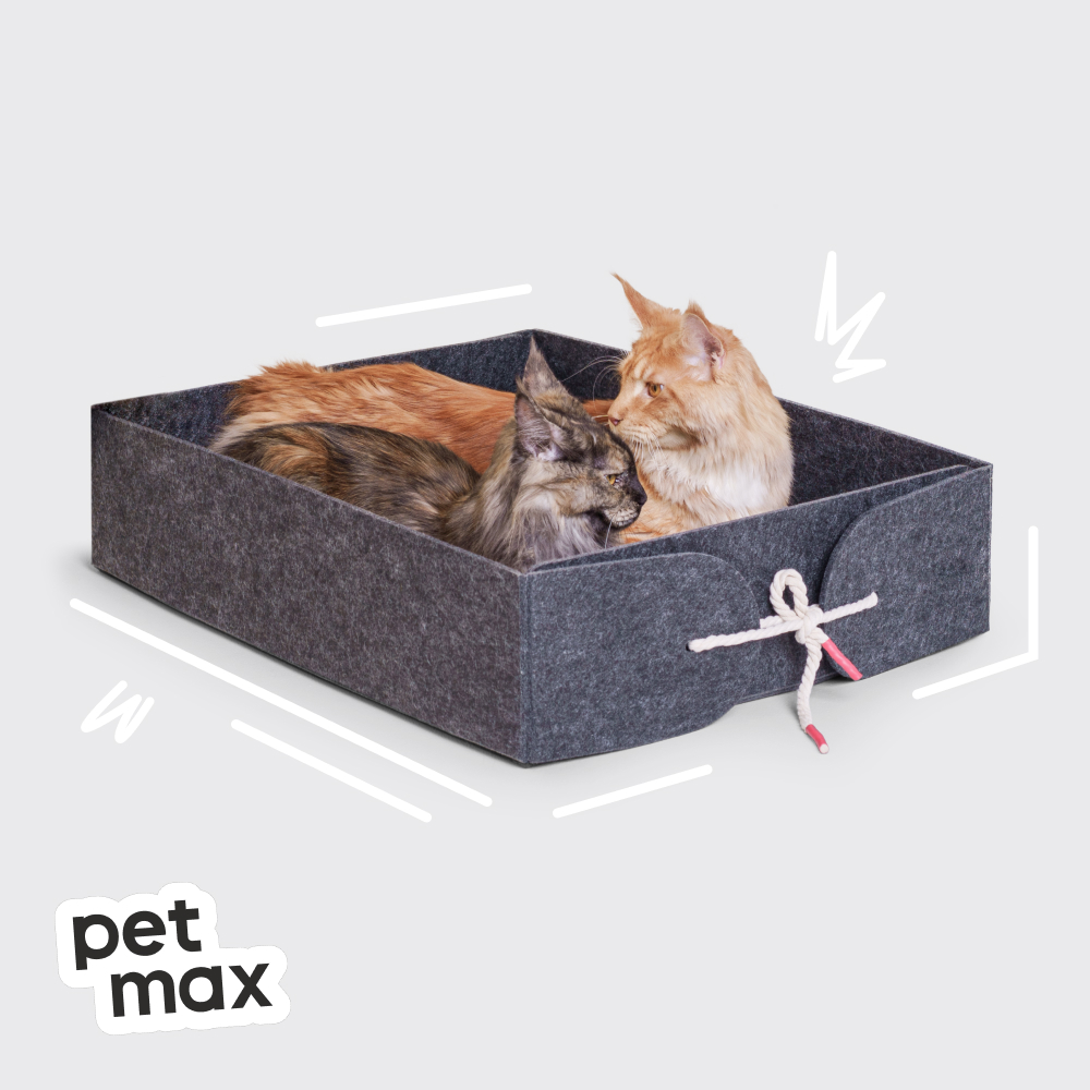 Petmax Petmax Лежак Бокс 59х51х15,5см,серый