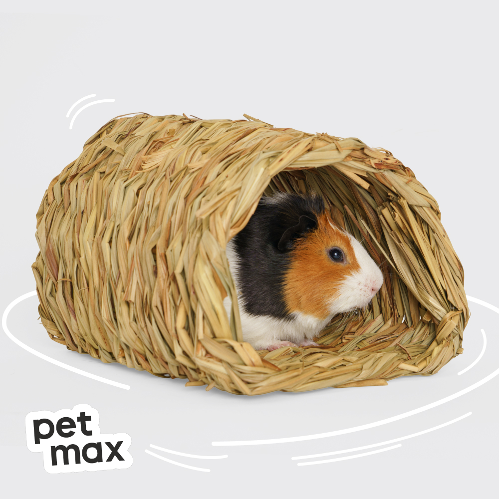 Petmax Petmax Травяной домик-туннель д/гр 20*23*15см
