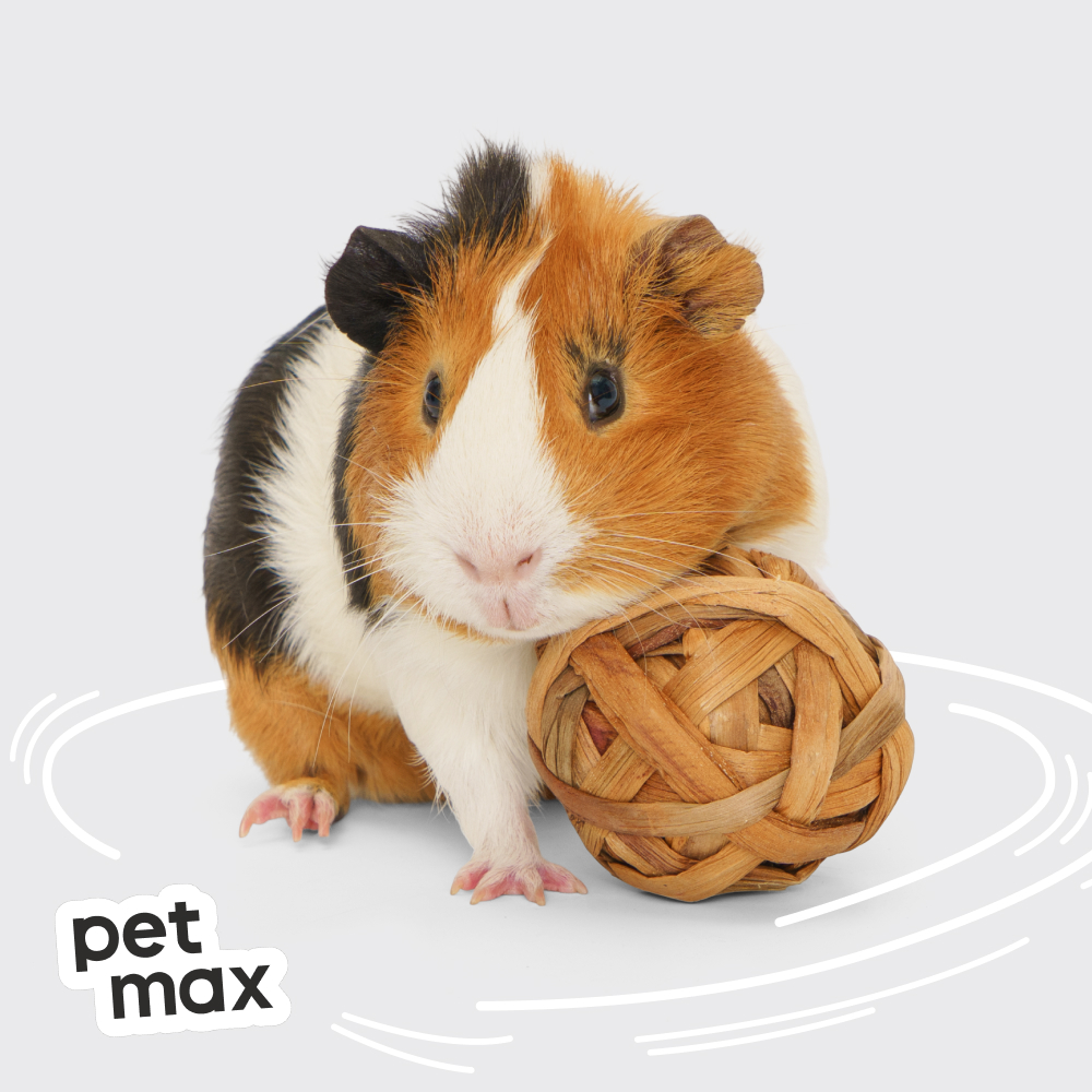 Petmax Petmax Травяные шарики д/гр 7см