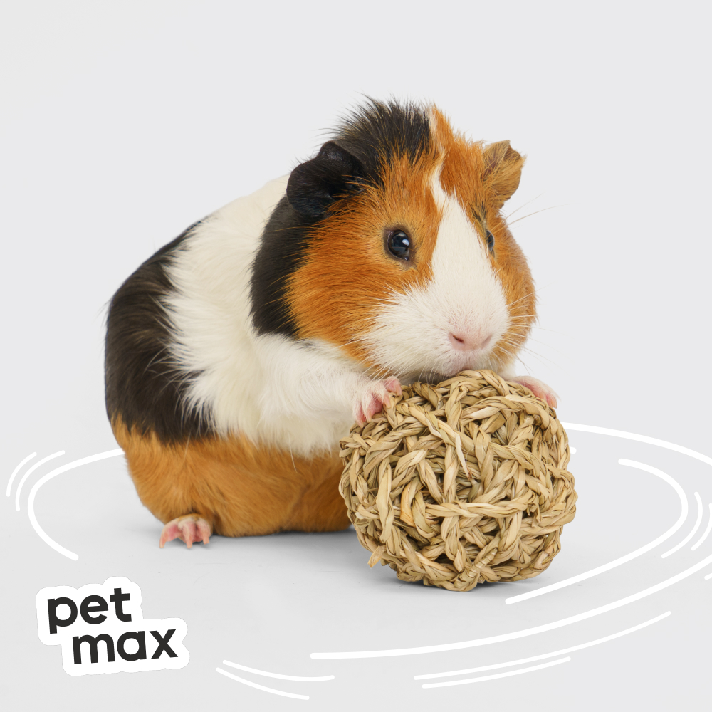 Petmax Petmax Плетеные шарики д/гр 7см