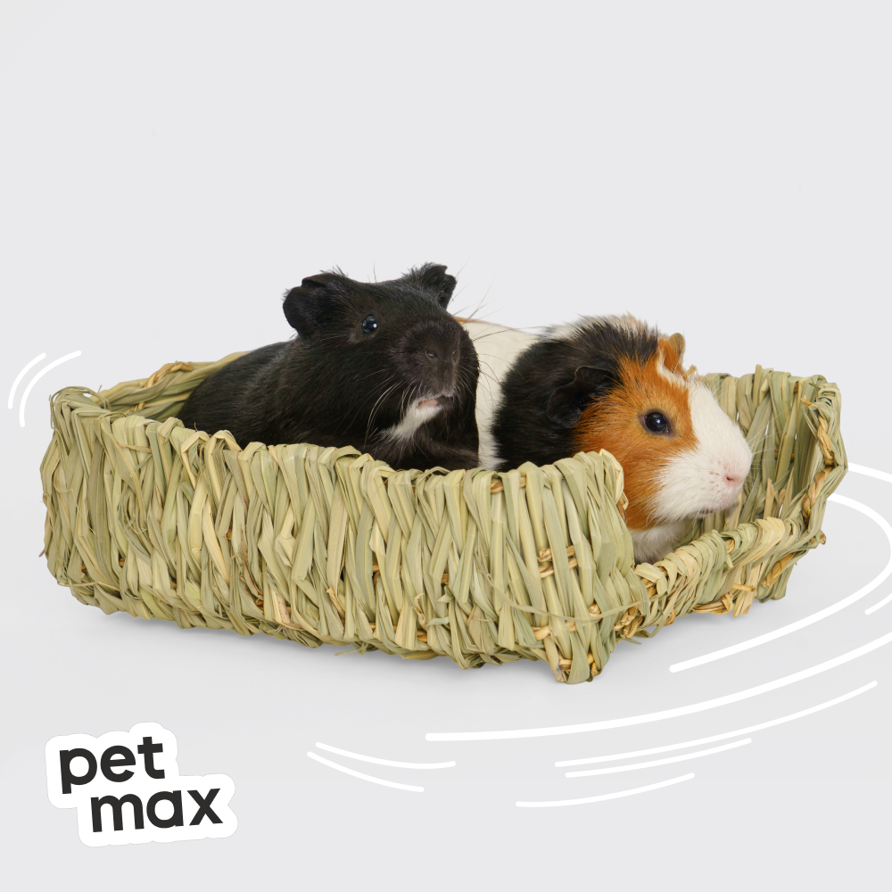 Petmax Petmax Травяная лежанка для кроликов 25см