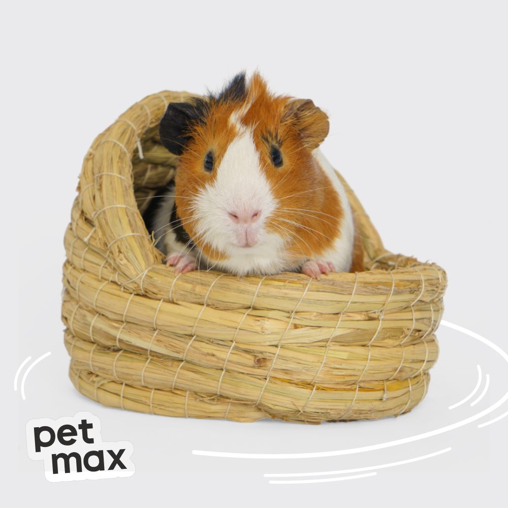 Petmax Petmax Гнездо-люлька 20*15*14см