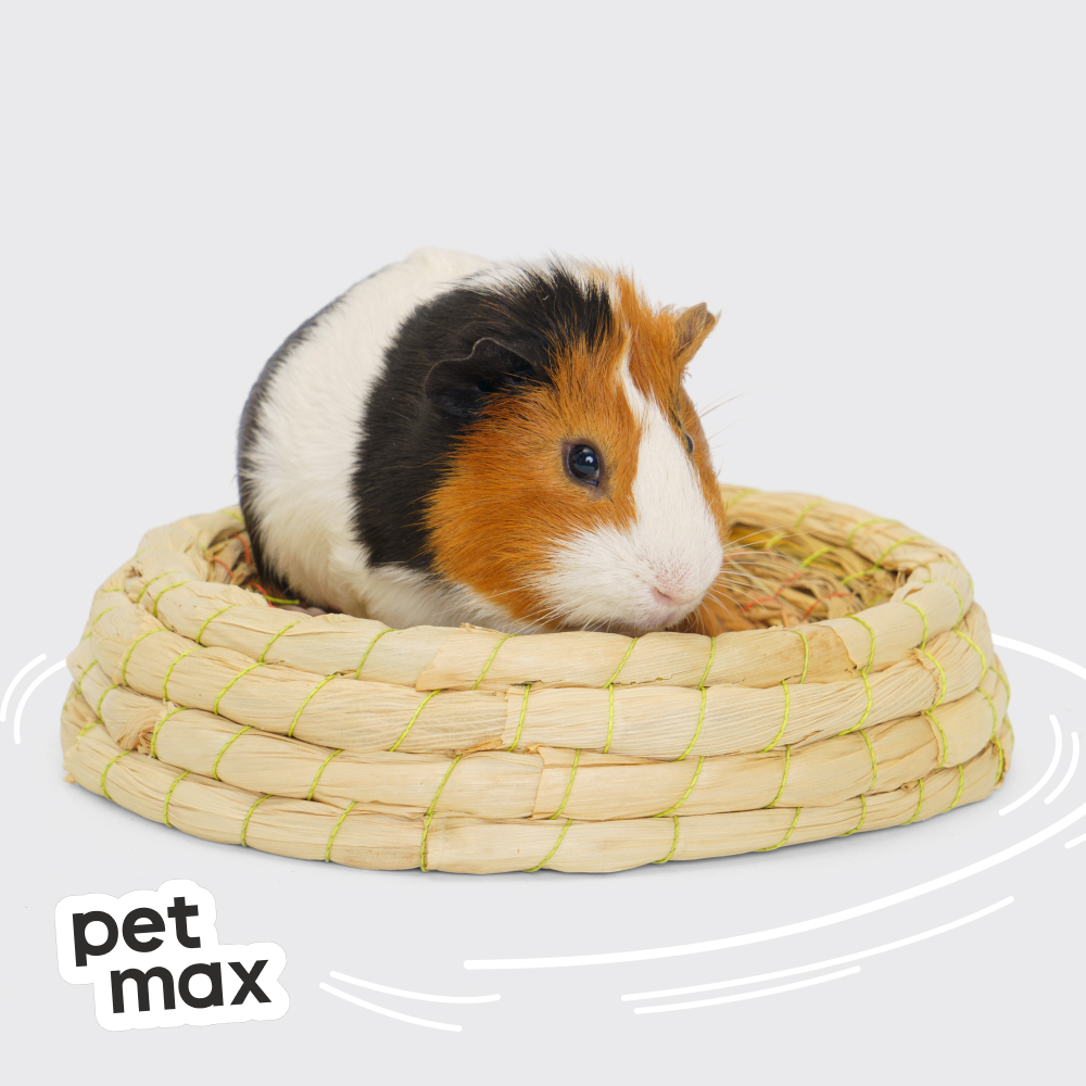 Petmax Petmax Травяная лежанка круглая д/гр 24*5см