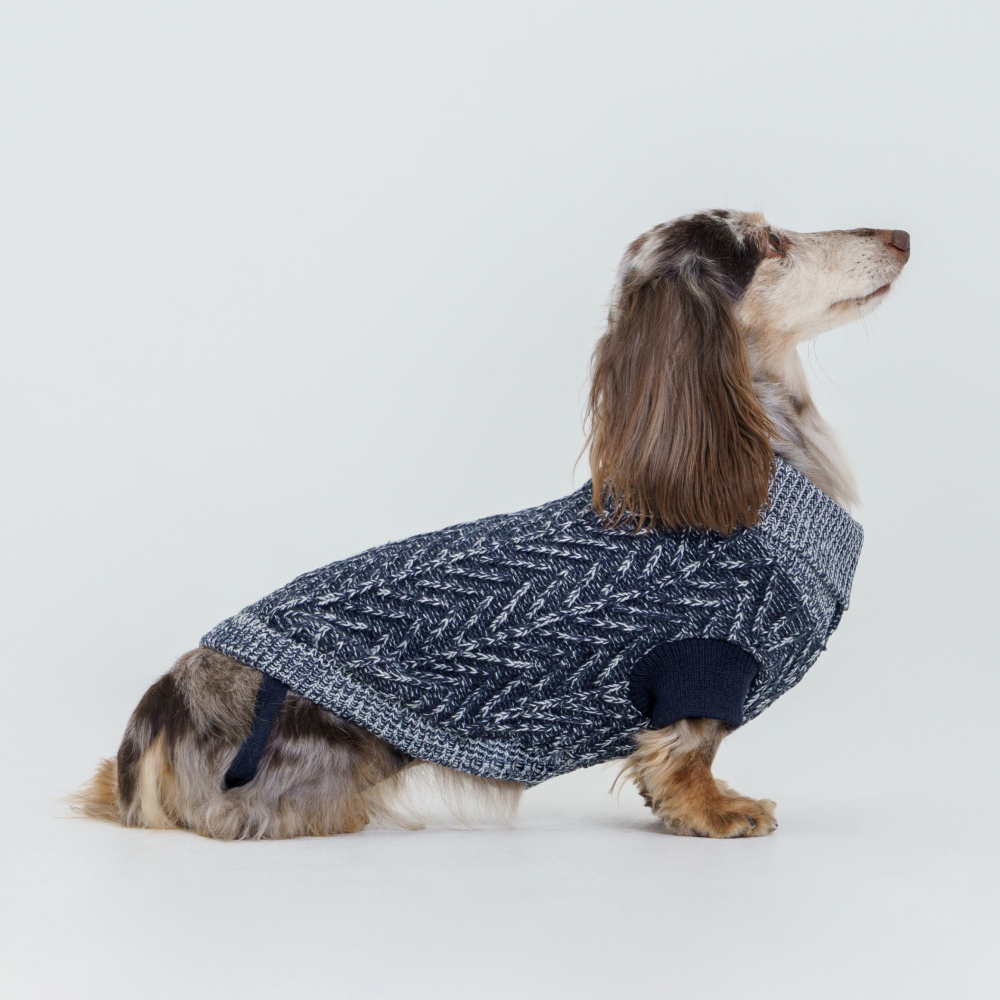Petmax Свитер для кошек и собак, M, синий