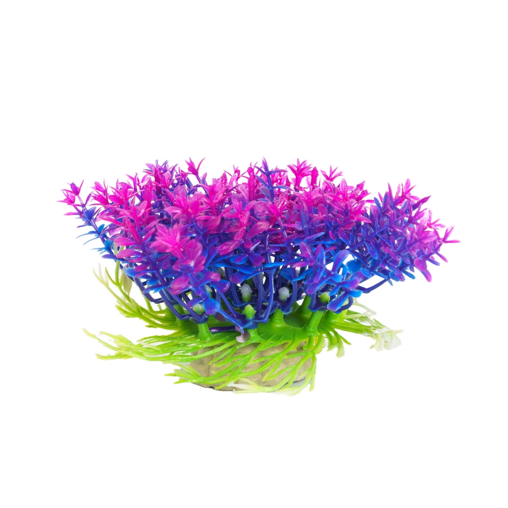 Aquafantasy Декор для аквариумов Растение фиолетовое, 10х10х4 см
