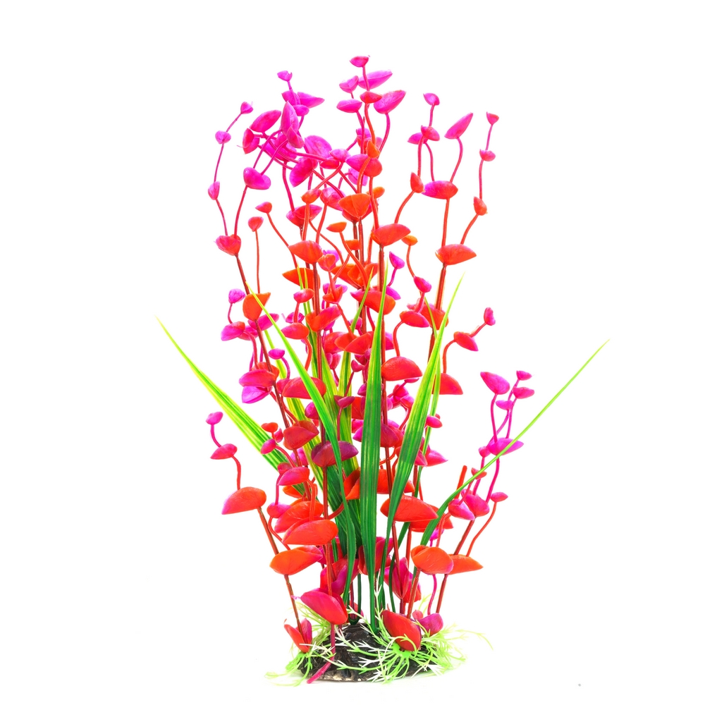 Aquafantasy Декор для аквариумов Растение с красным цветком, 12х12х30 см