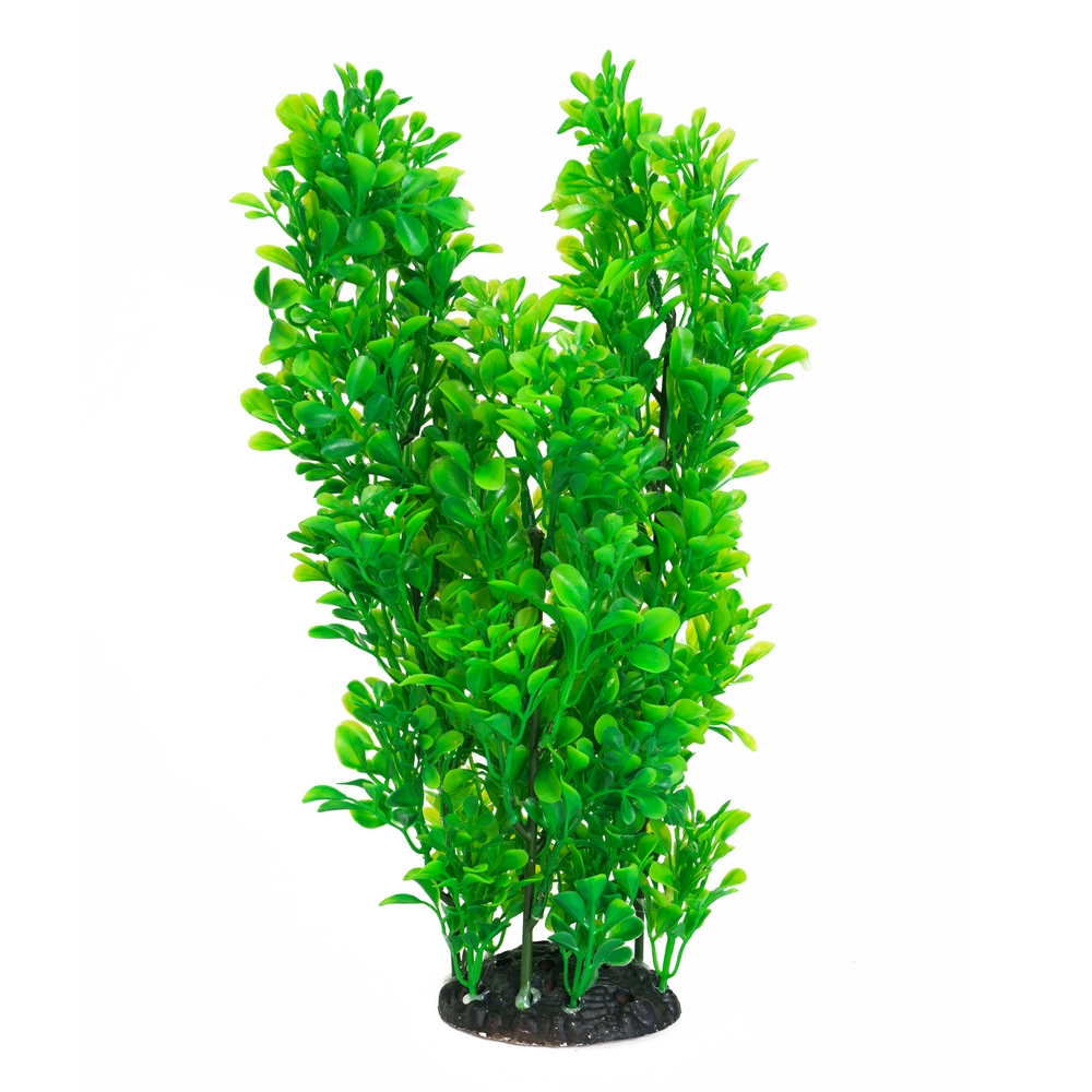 Aquafantasy Декор для аквариумов Растение куст зеленое, 12х12х30 см