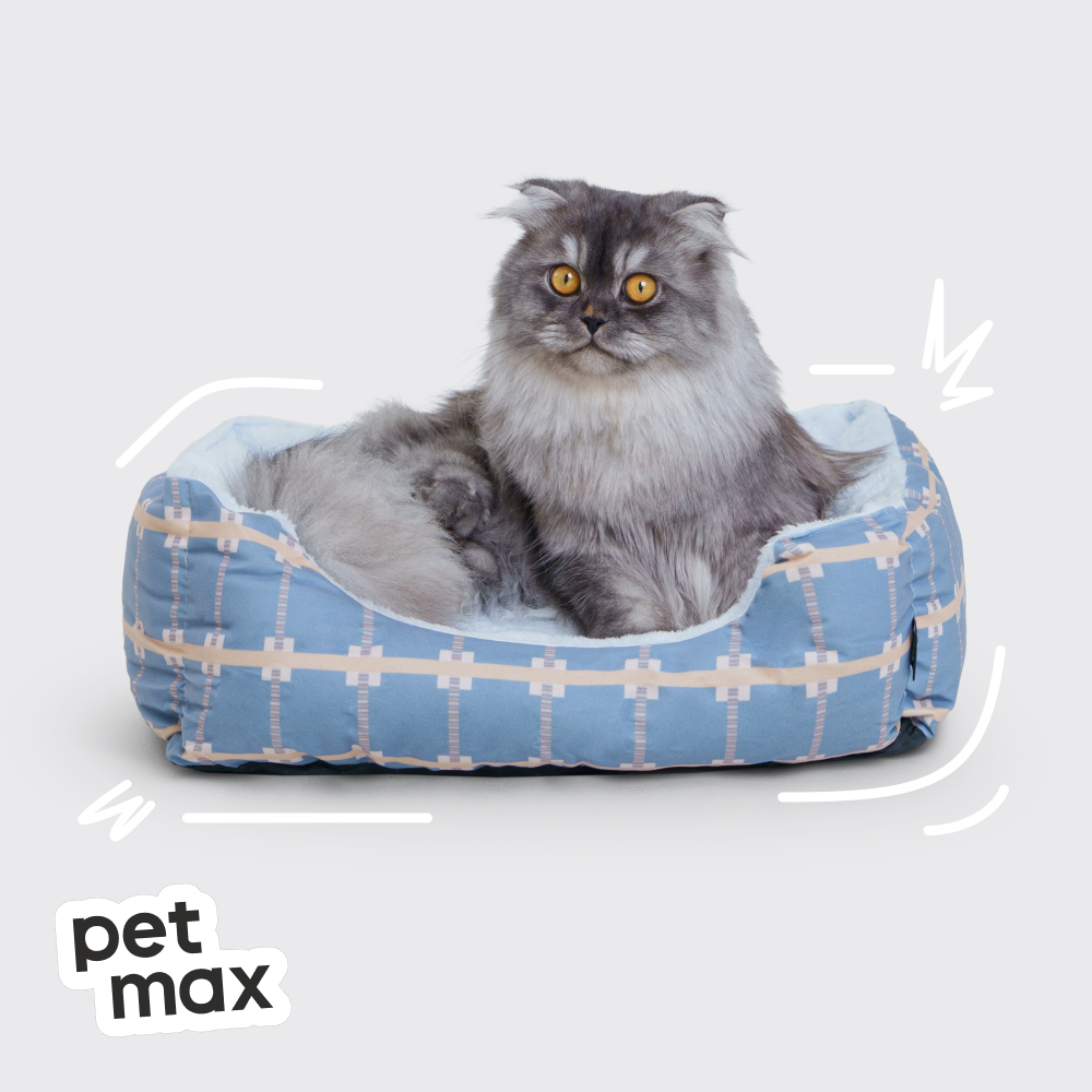 Petmax Petmax Лежак Чэйн 50х40, голубой