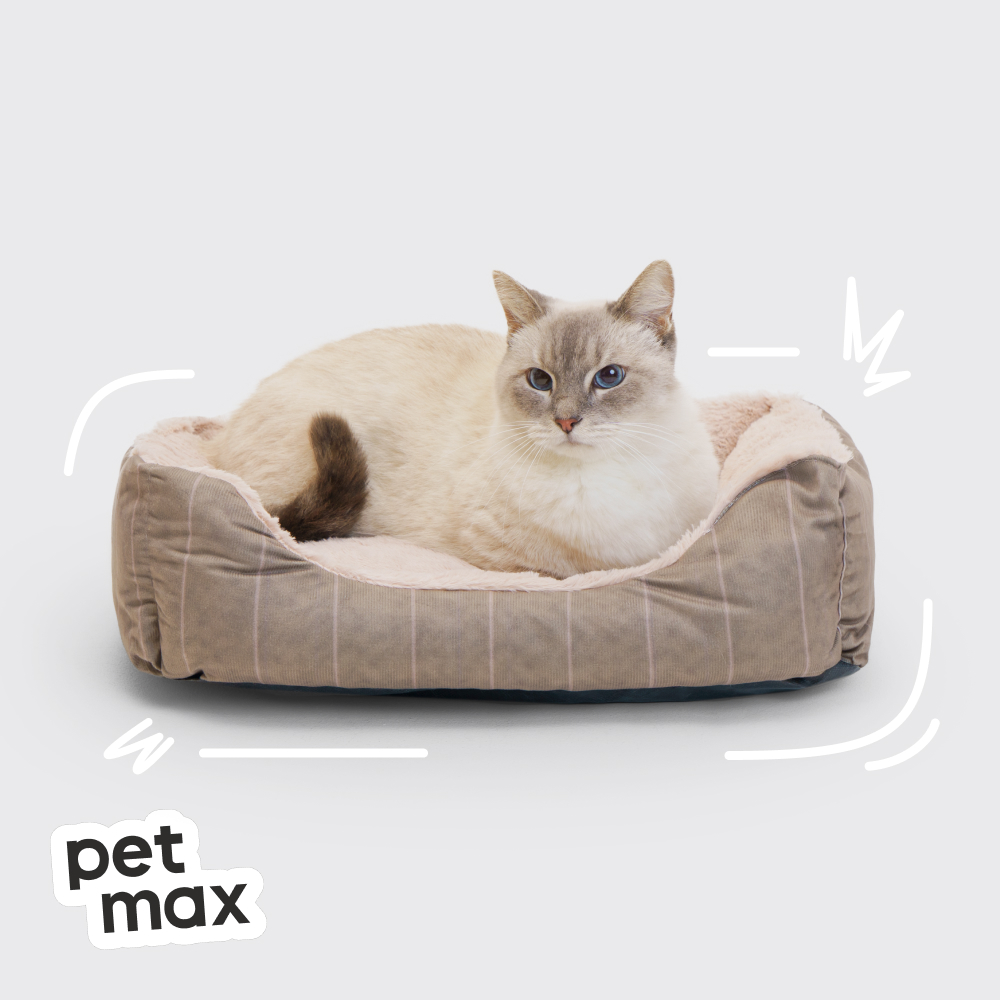 Petmax Petmax Лежак Прима 50х40см, серый