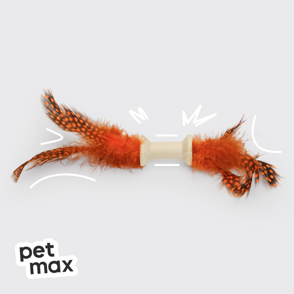 Petmax PETMAX Игрушка для кошек Катушка с перьями
