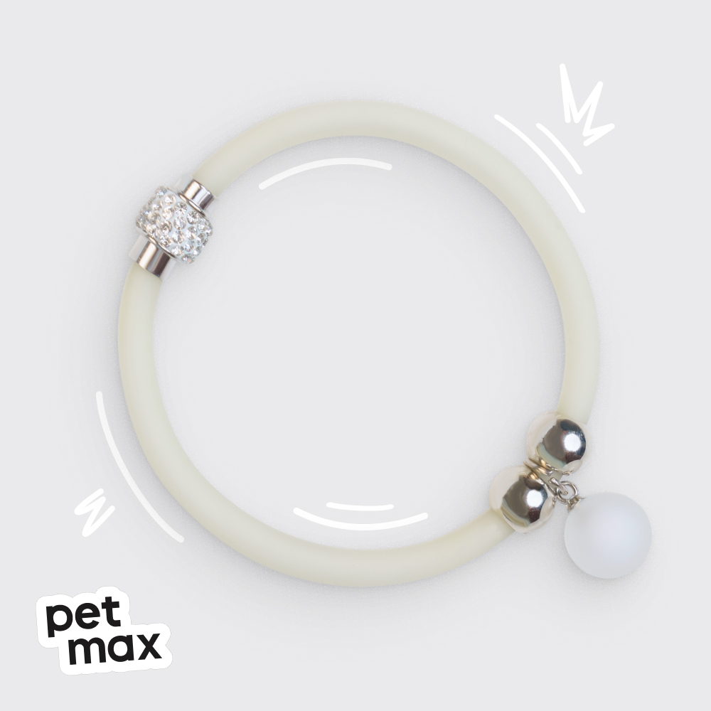 Petmax Petmax Ошейник для кошек светящийся 26см