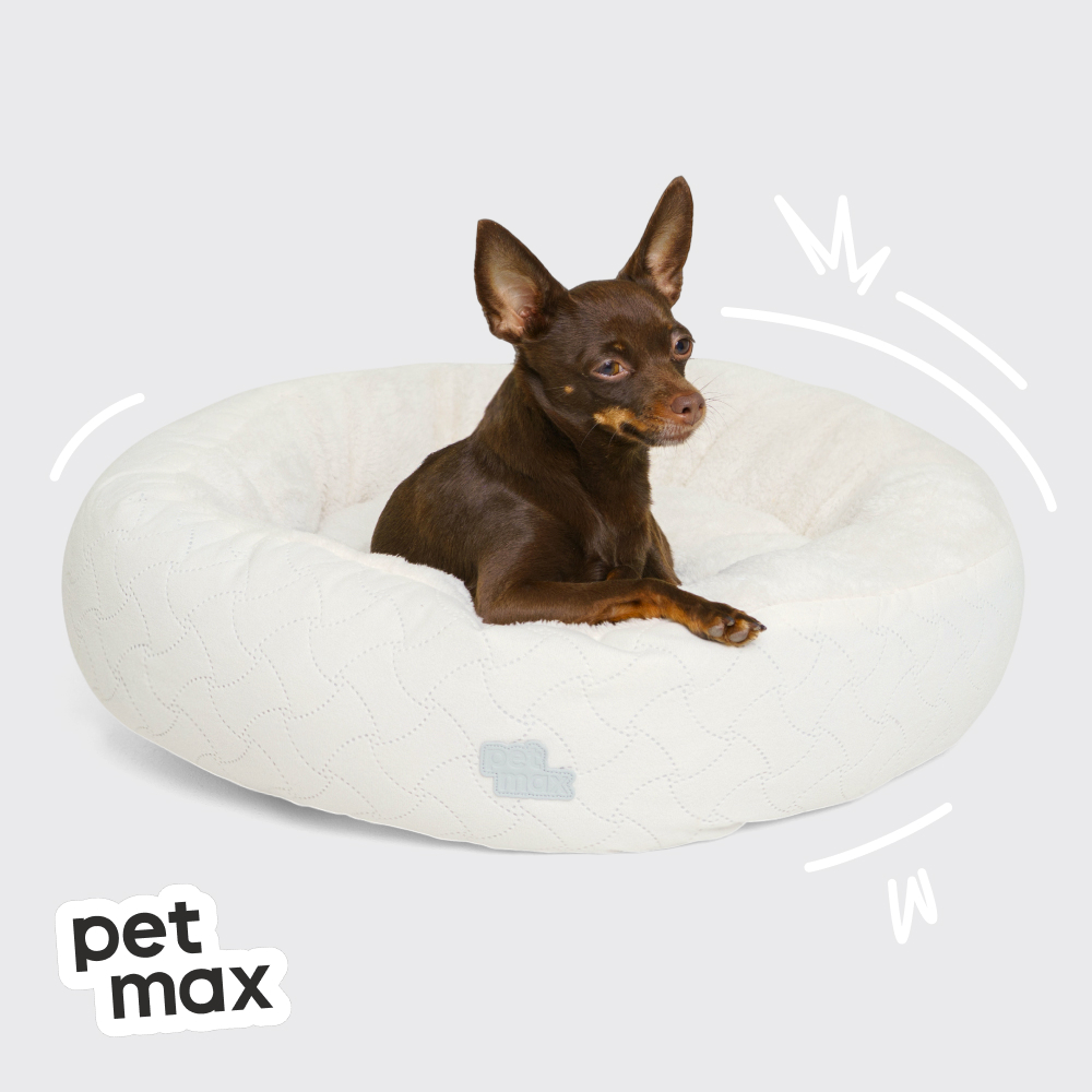 Petmax Лежак для кошек и собак мелких и средних пород Кристалл, 50 см, молочный