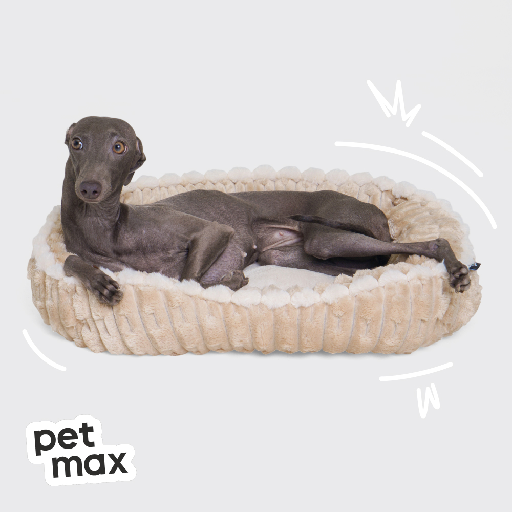 Petmax Лежак для кошек и собак мелких и средних пород Амелия, 47х37 см, бежевый