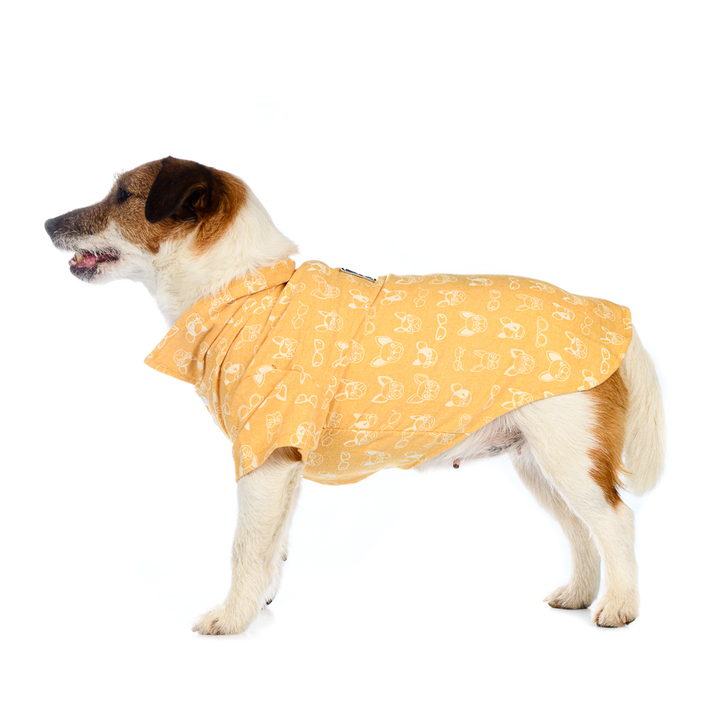 Petmax Рубашка для собак, XL, желтая (унисекс)