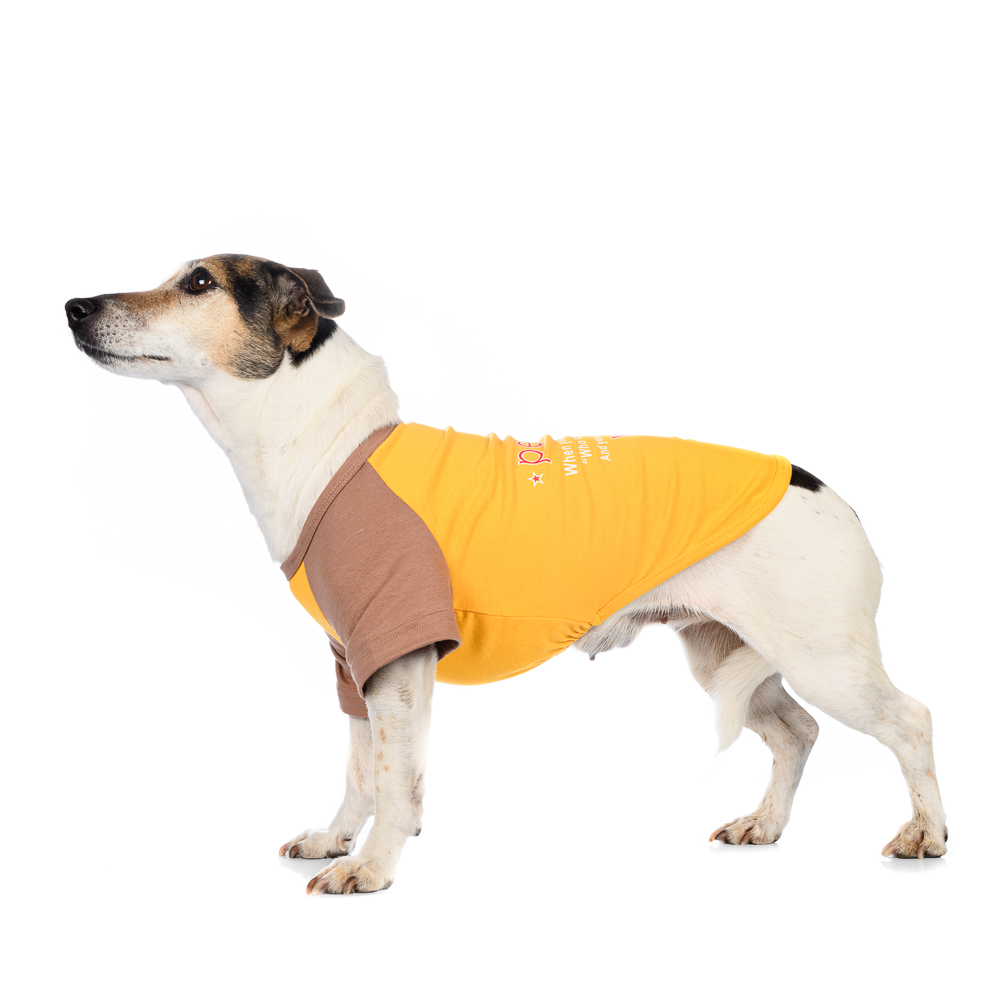 Petmax Футболка для собак, L, желтая (унисекс)