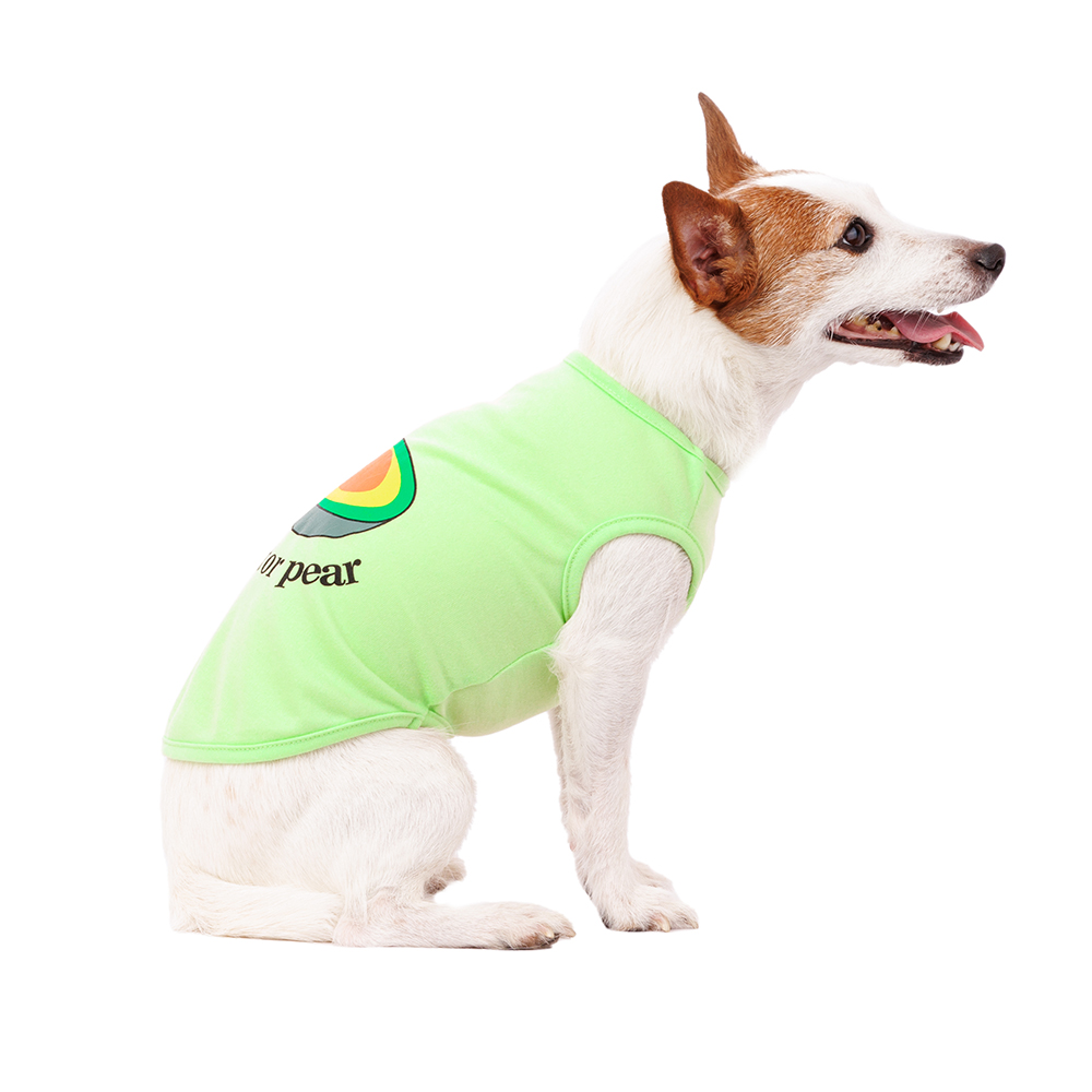 Petmax Футболка для собак, L, салатовая с авокадо (унисекс)