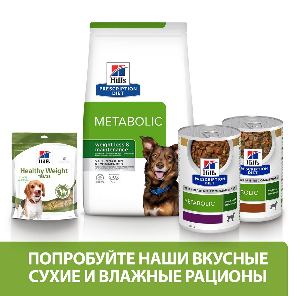 Hill S Metabolic Для Кошек Купить