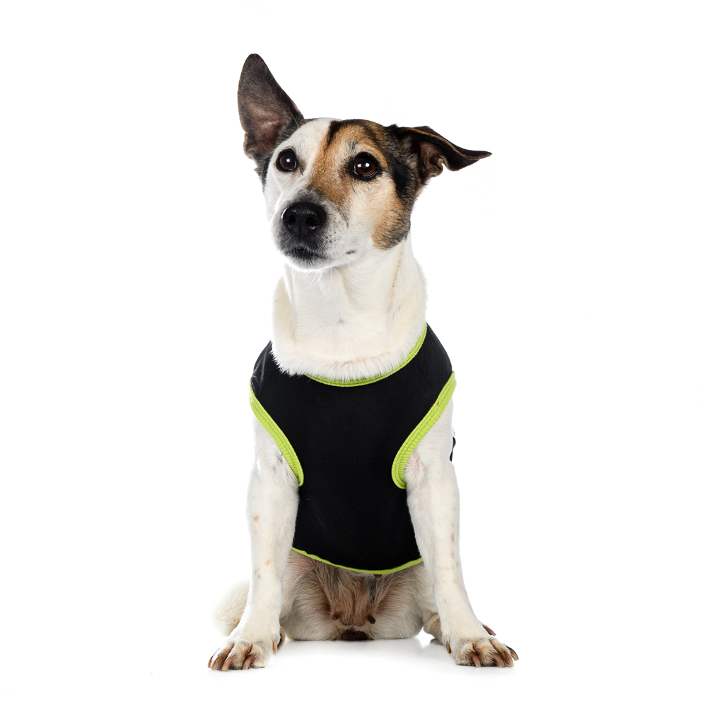 Petmax Футболка для собак, XL, черная (унисекс)