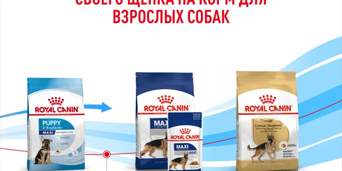 screencapture-file-C-Users-Desktop-Royal-Canin-MAXI-PUPPY-DRY-MAXI-PUPPY-DRY-index-html-2022-08-25-14_12_10_09.png