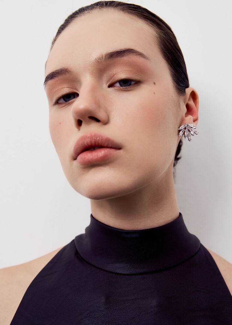 Ray earrings with crystals