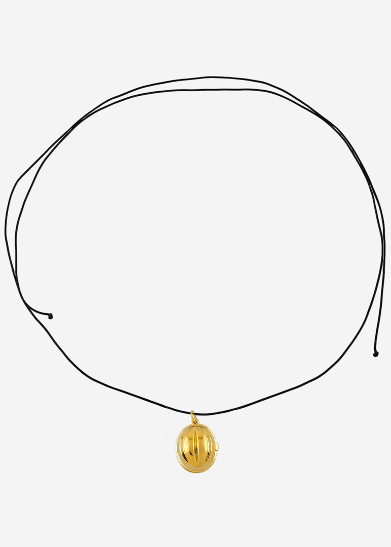 gold-plated silver necklace on a cord «Nut with a secret»