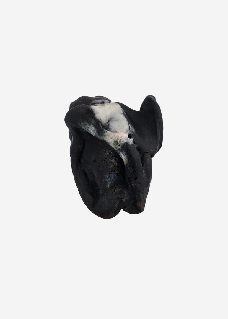 Black ceramic ring