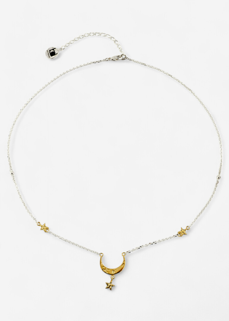 Gilded silver necklace «Femininity».