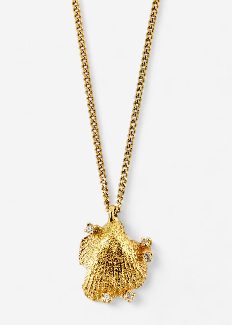 Gilded silver necklace with an irregular seashell