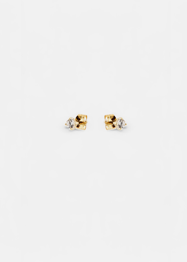 Blush Earrings in gold