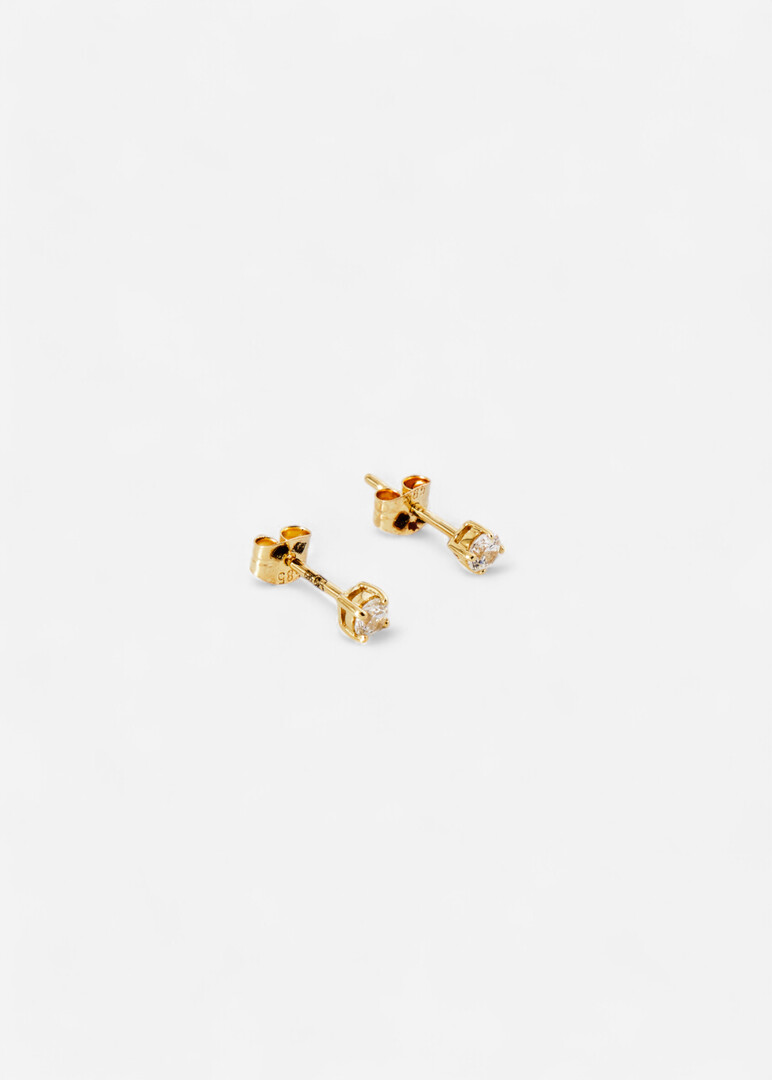 Blush Earrings in gold