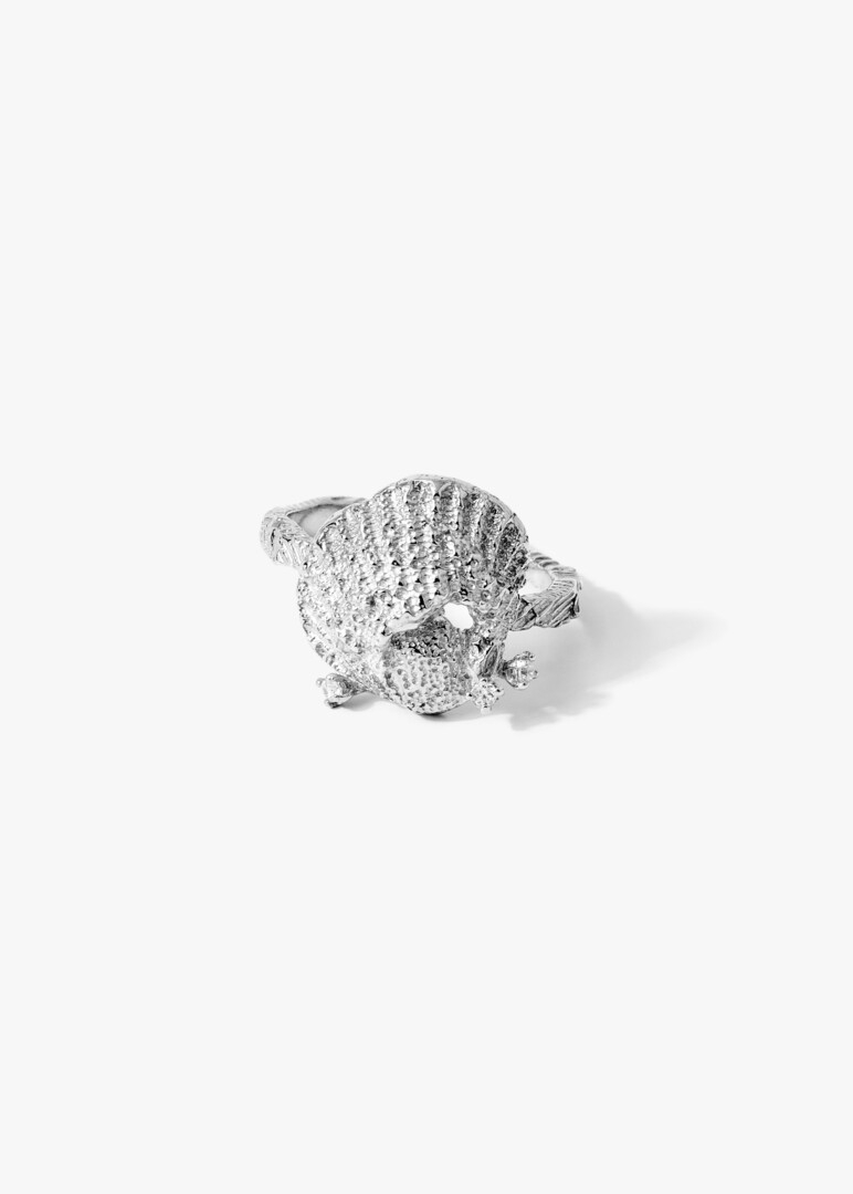 silver ring with shell