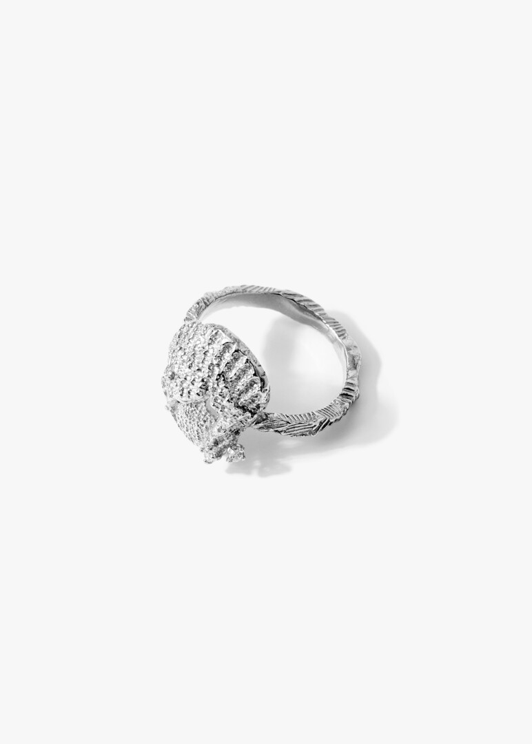 silver ring with shell