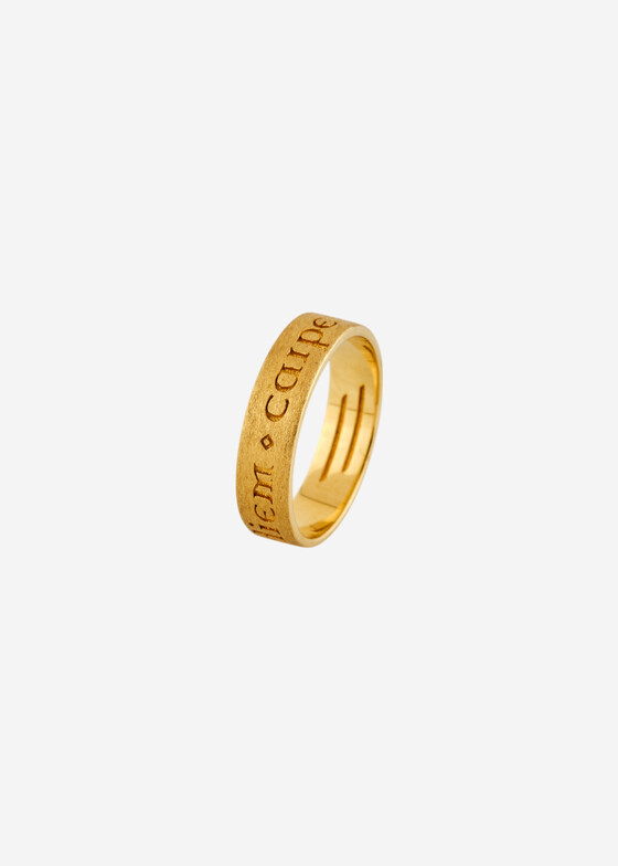 Тонкие кольца 11 Jewellery Кольцо Credo Carpe Diem / Лови момент